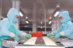 Cà Mau tăng cường giải pháp xuất khẩu tạo đà cho tăng trưởng kinh tế