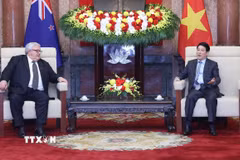 Chủ tịch nước Lương Cường tiếp Chủ tịch Quốc hội New Zealand Gerry Brownlee. (Ảnh: Lâm Khánh/TTXVN)