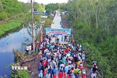 Đi bộ dưới những tán rừng xanh mát giúp người dân và du khách thêm hiểu hơn về đặc trưng sinh thái của rừng tràm U Minh hạ, vốn là một trong ba vùng lõi của Khu dự trữ sinh quyển Thế giới Mũi Cà Mau. (Ảnh: Huỳnh Anh/ TTXVN)