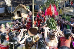 Các nghệ nhân Làng Du lịch cộng đồng Đăk Răng, xã Dục Nông, tỉnh Quảng Ngãi tái hiện Lễ mừng lúa mới của dân tộc Giẻ Triêng. (Ảnh: Dư Toán/TTXVN)