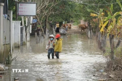 Buôn Nu, xã Uar (tỉnh Gia Lai) vẫn ngập sâu trong nước sau bão số 13. (Ảnh: Hoài Nam/TTXVN)