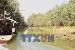 Trải nghiệm Tràm Chim - Chạm vào nhịp sống vùng đất ngập nước 