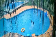 Đồng Nai: Bé gái 7 tuổi tử vong do đuối nước ở một hồ bơi tư nhân