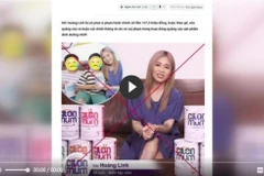 Nghị định số 342/2025/NĐ-CP do Chính phủ ban hành có quy định chi tiết một số điều của Luật Quảng cáo. Nghị định này có hiệu lực thi hành kể từ ngày 15/2/2026. (Ảnh minh họa: Vietnam+)