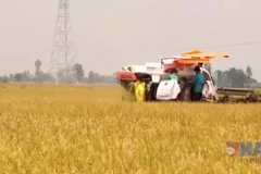 Tốn thất hàng tỷ USD mỗi năm do bảo quản sau thu hoạch yếu kém