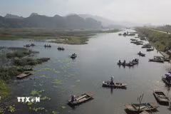 Khu Bảo tồn thiên nhiên đất ngập nước Vân Long. (Ảnh: Thùy Dung/TTXVN)