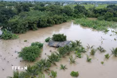 Nhiều nhà cửa, hoa màu của người dân phường Hàm Thắng (Lâm Đồng) bị ngập sâu trong nước lũ. (Ảnh: Nguyễn Thanh/TTXVN)