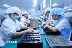Lắp ráp linh kiện điện tử. (Ảnh: Danh Lam/TTXVN)