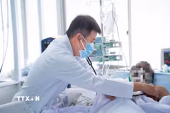 Bác sỹ Trần Thanh Linh, Trưởng Khoa Hồi sức tích cực, Bệnh viện Chợ Rẫy, điều trị cho nạn nhân. (Ảnh: TTXVN phát)