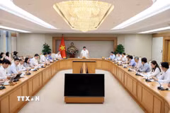Phó Thủ tướng Nguyễn Chí Dũng, Tổ trưởng Tổ Chỉ đạo số 7 phát biểu. (Ảnh: An Đăng/TTXVN)