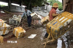 Dọn dẹp vệ sinh tại Bến thả hoa bờ Nam sông Thạch Hãn, thị xã Quảng Trị. (Ảnh: Thanh Thủy/TTXVN)