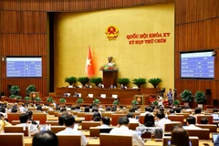 Quốc hội biểu quyết thông qua Luật Quản lý và đầu tư vốn nhà nước tại doanh nghiệp. (Ảnh: Doãn Tấn/TTXVN)