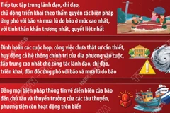 Tập trung triển khai các biện pháp khẩn cấp ứng phó bão số 13 