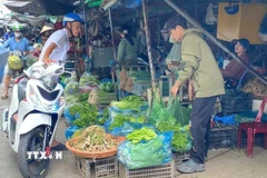 Một điểm bán rau, củ quả tại chợ đầu mối Long Xuyên, tỉnh An Giang. (Ảnh: Công Mạo/TTXVN)