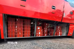Các lực lượng chức năng phát hiện 112 kiện hàng bên trong chứa 676 cá thể Rắn hổ mang (loại một mắt kính) tổng trọng lượng là 924,2kg trái phép. (Ảnh: TTXVN phát)