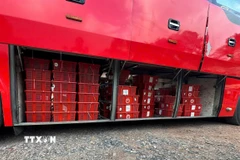 Các lực lượng chức năng phát hiện 112 kiện hàng bên trong chứa 676 cá thể Rắn hổ mang (loại một mắt kính) tổng trọng lượng là 924,2kg trái phép. (Ảnh: TTXVN phát)