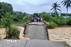 Cầu cây Sung bị sập đã chia cắt khu vực 250 hộ dân đang sinh sống. (Ảnh: TTXVN phát)