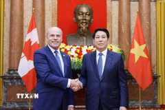 Chủ tịch nước Lương Cường tiếp Đại sứ Canada James Nickel đến trình Quốc thư, nhận nhiệm vụ công tác tại Việt Nam. (Ảnh: Lâm Khánh/TTXVN)