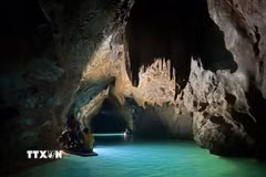 Hang động trong Vườn Quốc gia Phong Nha-Kẻ Bàng. (Ảnh: TTXVN phát)