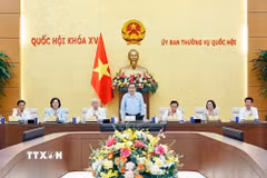 Chủ tịch Quốc hội Trần Thanh Mẫn chủ trì cuộc họp với các cơ quan của Quốc hội về sơ kết công tác 6 tháng đầu năm 2026. (Ảnh: Doãn Tấn/ TTXVN)