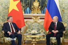Tổng Bí thư Tô Lâm hội đàm hẹp với Tổng thống Nga Vladimir Putin. (Ảnh: Thống Nhất/TTXVN)