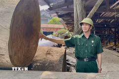Cựu chiến binh Trần Văn Phú (ở thôn Thanh Khê, xã Bắc Trạch, tỉnh Quảng Trị) là một trong những điển hình tiêu biểu về phát triển kinh tế và tích cực trong các hoạt động sẻ chia vì cộng đồng. (Ảnh: Võ Dung/TTXVN)