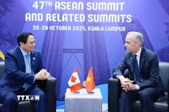 Thủ tướng Phạm Minh Chính gặp Thủ tướng Canada Mark Carney. (Ảnh: Dương Giang/TTXVN)