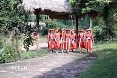 Phụ nữ dân tộc Pà Thẻn, rực rỡ trong bộ trang phục truyền thống. (Ảnh: Hoàng Hải/TTXVN)
