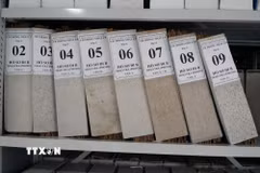 191 hồ sơ, kỷ vật của cán bộ đi B tại thành phố Đồng Nai vẫn chưa tìm được thân nhân, đang được lưu trữ tại Trung tâm Lưu trữ lịch sử. (Ảnh: Lê Xuân/TTXVN)