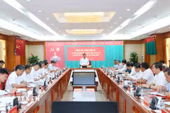 Đồng chí Trần Cẩm Tú, Ủy viên Bộ Chính trị, Thường trực Ban Bí thư phát biểu chỉ đạo buổi làm việc. (Ảnh: Phương Hoa/TTXVN)