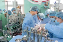 Êkíp bệnh viện Trung ương Huế hiện ghép tim cho bệnh nhân. (Ảnh: TTXVN phát)