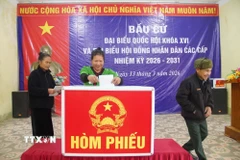 Cử tri ở bản Phồng, xã Tam Thái, tỉnh Nghệ An, bỏ phiếu sớm. (Ảnh: Trịnh Duy Hưng/ TTXVN)