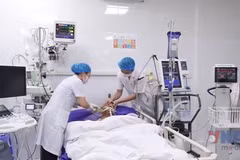 Quảng Ninh thực hiện thành công ca lấy đa tạng và ghép thận
