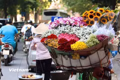 (Ảnh: Vietnam+)