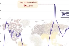 Giá lương thực thế giới tháng 8 năm 2025 cao nhất trong hơn 2 năm qua