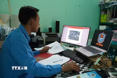Cán bộ Đội K91 miệt mài nghiên cứu, thực hiện và chạy thử nghiệm phần mềm “Quản lý hồ sơ liệt sỹ”. (Ảnh: Nhựt An/TTXVN)
