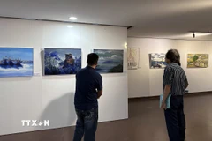 Một góc triển lãm tranh tại Bảo tàng Mỹ thuật Đà Nẵng. (Ảnh: Trần Lê Lâm/TTXVN)