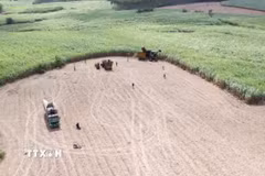 Những cánh đồng mía vùng Đông Trường Sơn được cơ giới hoá từ khâu trồng đến khâu thu hoạch. (Ảnh: TTXVN phát)