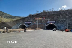 Ảnh minh họa. (Nguồn: TTXVN)