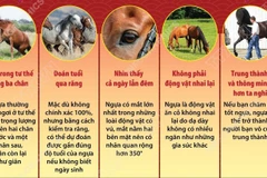 Những điều thú vị về loài ngựa