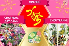 Những thú chơi tao nhã ngày Tết Nguyên đán