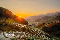 Vẻ đẹp của những thửa ruộng bậc thang ở xã Mồ Dề (huyện Mù Cang Chải, tỉnh Yên Bái). (Ảnh: Khánh Hòa/TTXVN)