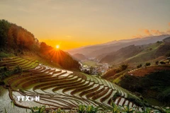 Vẻ đẹp của những thửa ruộng bậc thang ở xã Mồ Dề (huyện Mù Cang Chải, tỉnh Yên Bái). (Ảnh: Khánh Hòa/TTXVN)