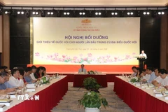 Quang cảnh hội nghị bồi dưỡng, giới thiệu về Quốc hội cho người lần đầu trúng cử đại biểu Quốc hội. (Ảnh: Ngọc Thiện/TTXVN)