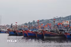 Một góc khu neo đậu tàu thuyền tại cảng cá. (Ảnh: Hoa Mai/TTXVN)