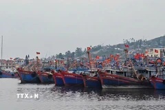 Một khu neo đậu tàu thuyền tại cảng cá. (Ảnh: Hoa Mai/TTXVN)
