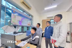 Toàn bộ dữ liệu tàu cá ra vào cảng cá Lạch Bạng được tích hợp, chia sẻ liên thông giữa hệ thống quản lý của Bộ Quốc phòng và hệ thống cơ sở dữ liệu thủy sản quốc gia (VNFishbase). (Ảnh: Hoa Mai/TTXVN)