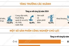 Chỉ số sản xuất toàn ngành công nghiệp trong 11 tháng năm 2025 tăng 9,3%