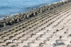 Kè bêtông mái nghiêng kết hợp kè mỏ hàn bảo vệ bờ biển chống xâm thực tại phường Tiến Thành (Lâm Đồng). (Ảnh: Nguyễn Thanh/TTXVN)