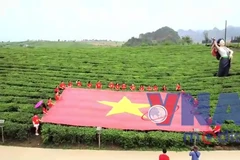 Hàng ngàn lượt du khách đến Cao nguyên Mộc Châu trong dịp nghỉ lễ 30/4